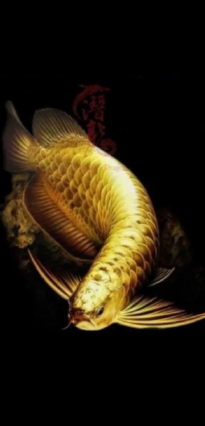 Golden fish with black background, elegant and artistic design.