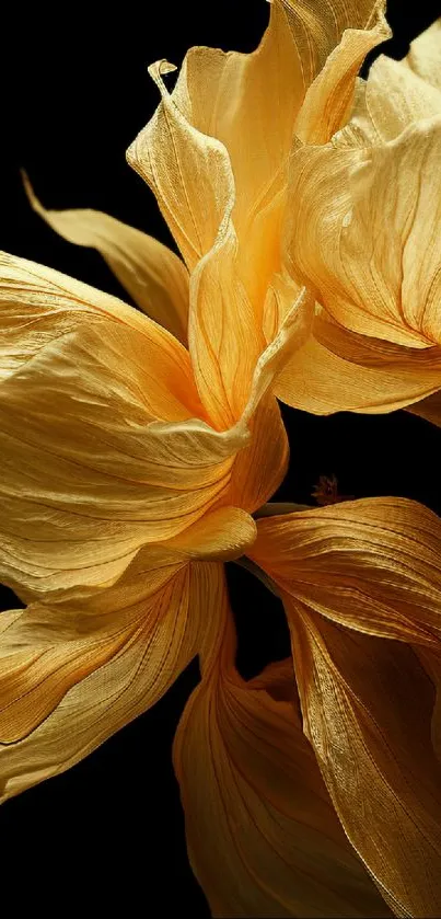 Golden flower petals on a dark background, creating an elegant mobile wallpaper.