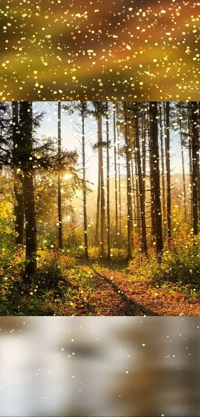 Golden sunlight streaming through a forest path with sparkling accents.