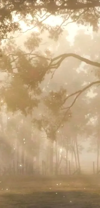 Serene golden-hued forest with mist and sunlight.