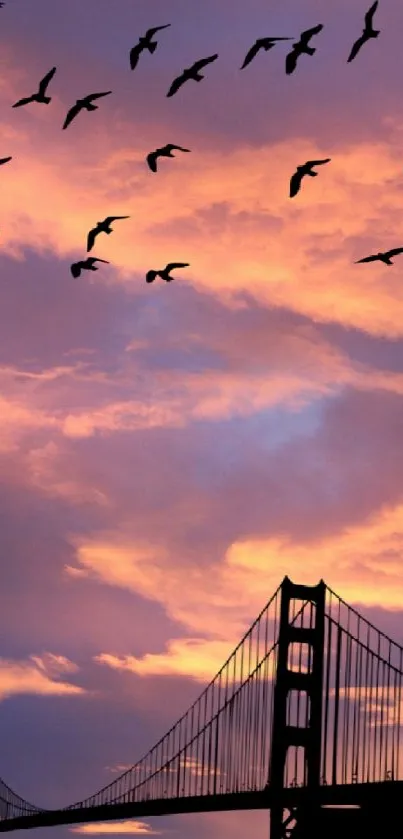 Mobile wallpaper with Golden Gate Bridge at sunset and birds flying.