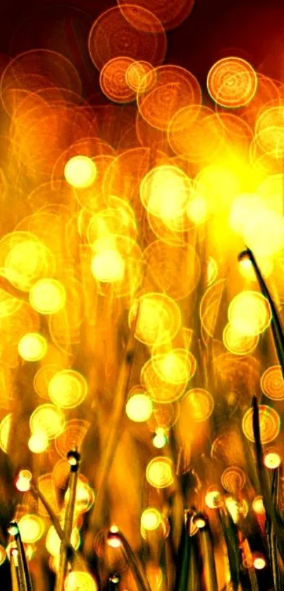 Golden bokeh effect, vibrant light wallpaper.