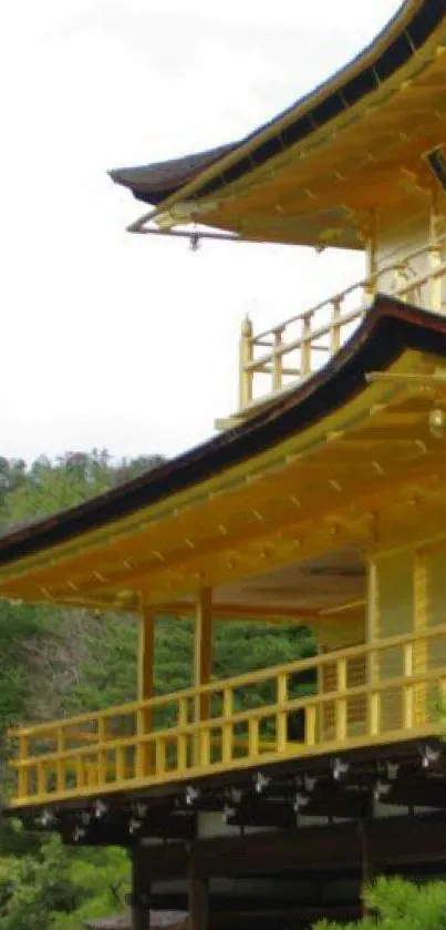 Golden Japanese temple amidst green background on mobile wallpaper.