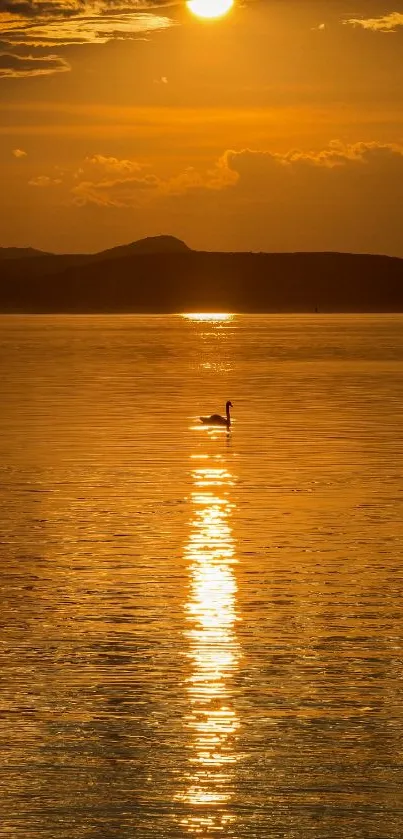 Golden sunset over a lake with swan silhouette.