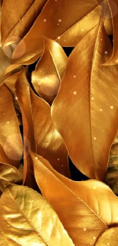 Golden leaves wallpaper with black background.