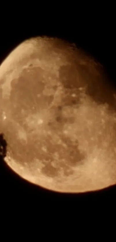 Golden moon against black night sky with shadows.