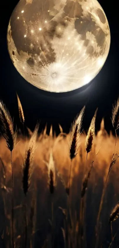 Golden wheat field illuminated by a full moon, creating a serene night scene.