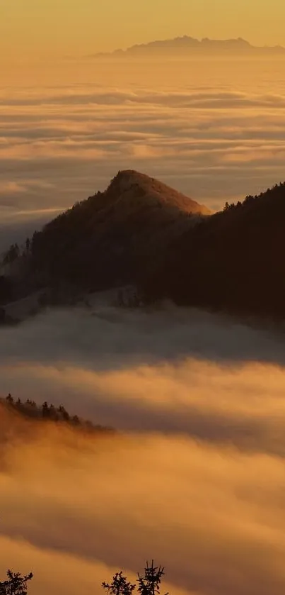 Golden sunrise over misty mountains creating a tranquil scene.