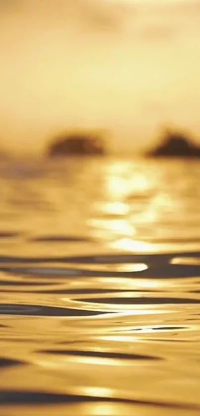 Golden sunset over a tranquil ocean with warm, reflective water.