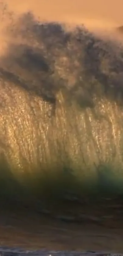 Golden wave crashing with sunset glow.