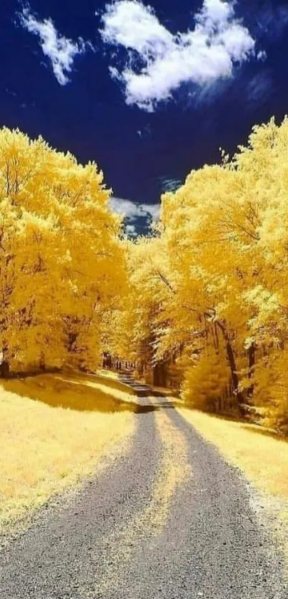 Golden autumn path with yellow trees under a clear blue sky.