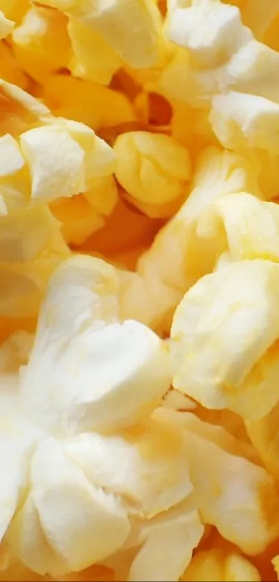 Close-up of golden popcorn kernels in a vibrant mobile wallpaper.