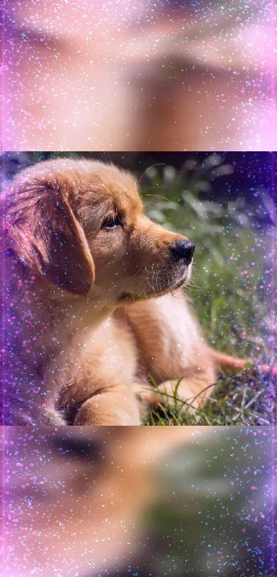 Golden retriever puppy with colorful sparkles and purple hues in a nature setting.