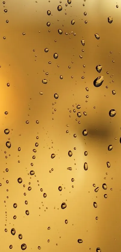 Golden water droplets on glass with abstract blurred background.