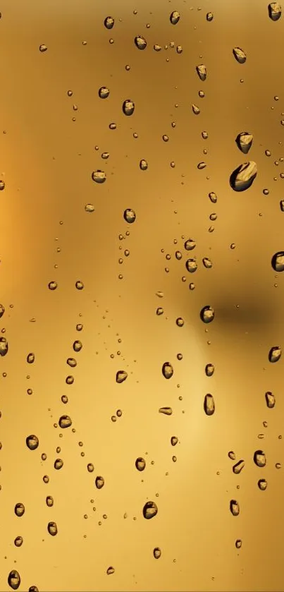 Golden rain droplets on a window creating a serene wallpaper.