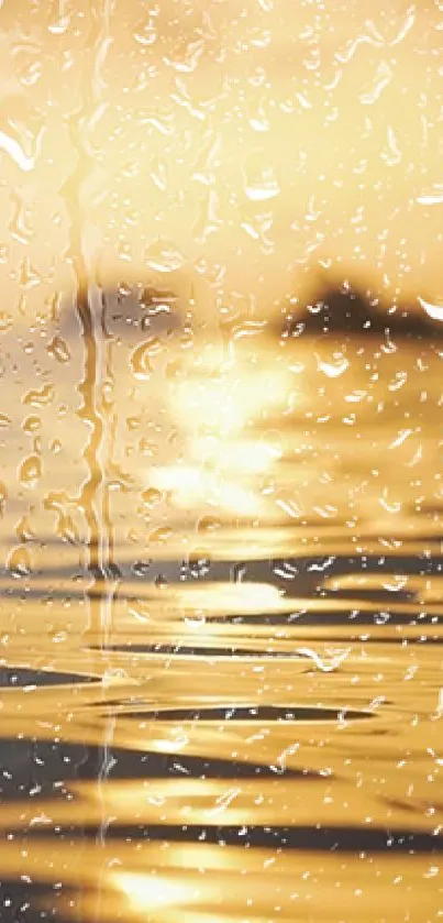 Golden sunset with raindrops on water.