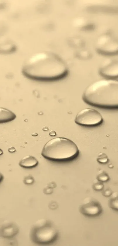 Golden raindrops on a smooth background wallpaper.