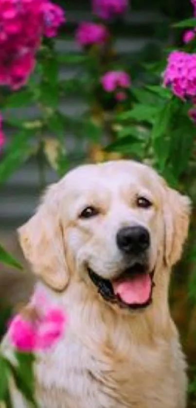 Golden retriever with pink flowers in a garden setting.