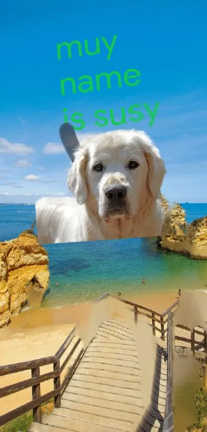 Golden Retriever by the sunny beach with clear blue skies.