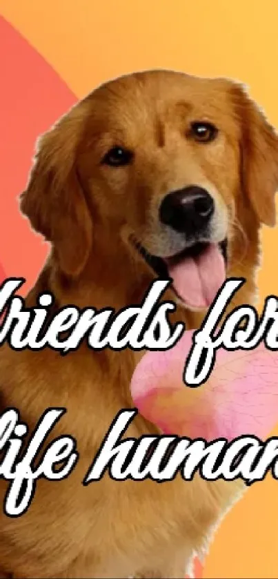 Golden Retriever with Friends for Life text on vibrant background.