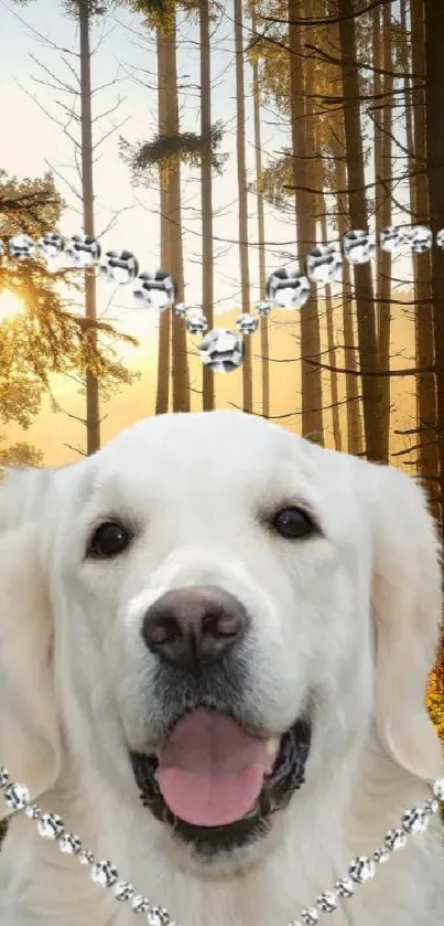 Golden retriever with heart overlay in a sunlit forest background.