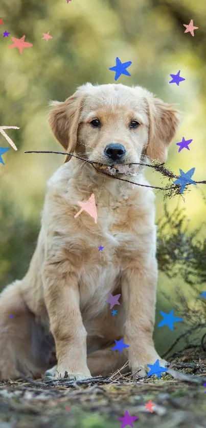 Golden retriever puppy surrounded by colorful stars in a green forest setting.