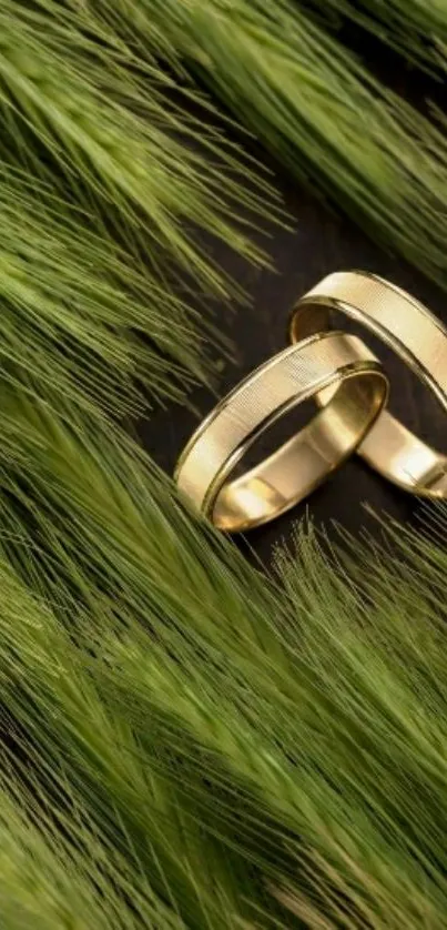 Gold rings on vibrant green grass wallpaper.