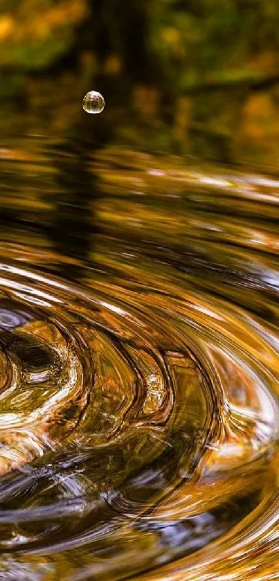 Golden ripples on a water surface, reflecting autumn hues.