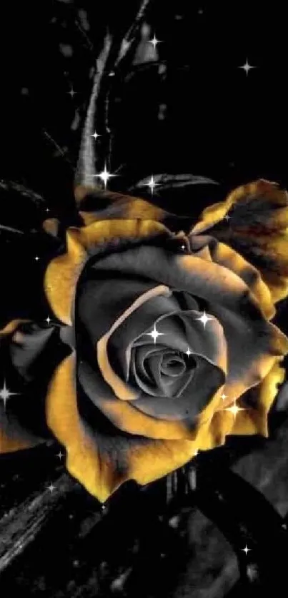 Golden rose on dark background mobile wallpaper.