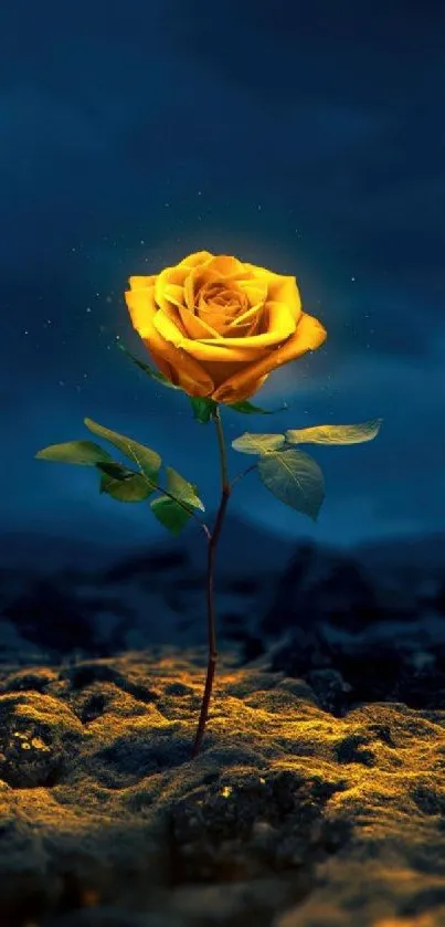 A glowing golden rose under a dark blue moonlit sky, perfect for a mobile wallpaper.