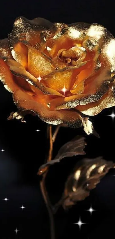 Golden rose against a dark background, perfect for mobile wallpaper.
