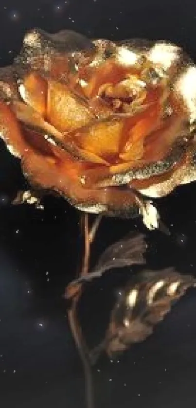 Elegant golden rose on a deep black background, perfect for phone wallpaper.