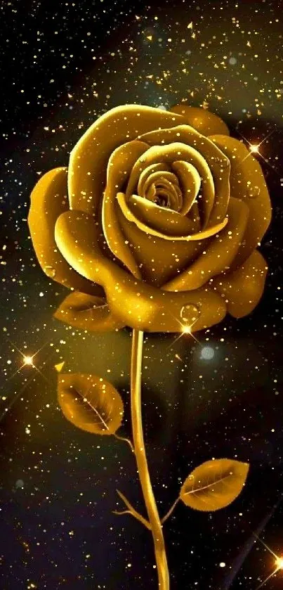 Golden rose on a starry black background wallpaper.