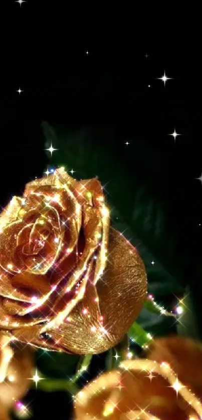 Gold rose with lights on dark background.