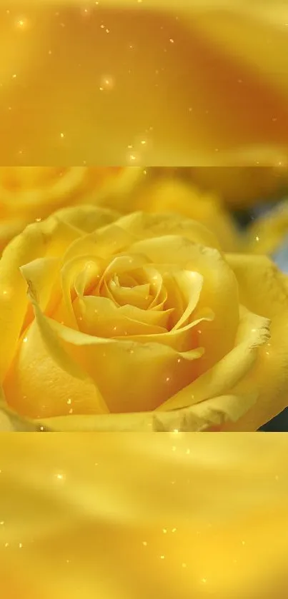 Glowing golden yellow rose with sparkles.