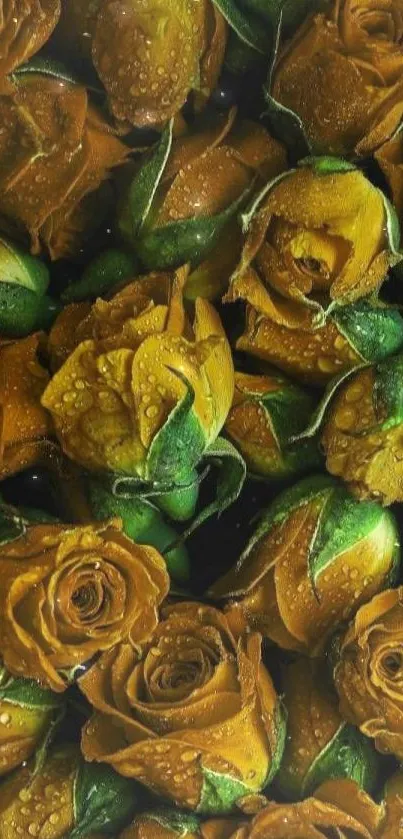 Golden roses clustered in a vibrant floral pattern.