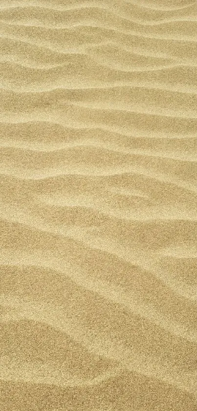 Golden sand dune pattern with natural ripples.