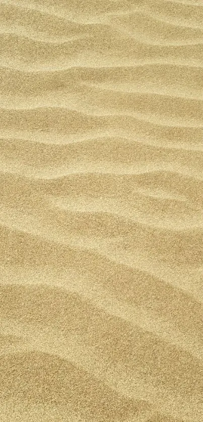 Golden sand dunes with gentle waves and natural texture for mobile wallpaper.