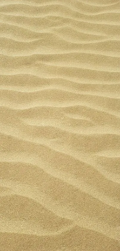 Golden sand waves creating a textured, serene mobile wallpaper design.