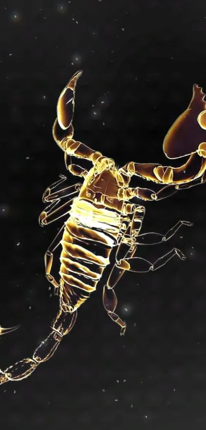 Golden scorpion on a celestial black background.