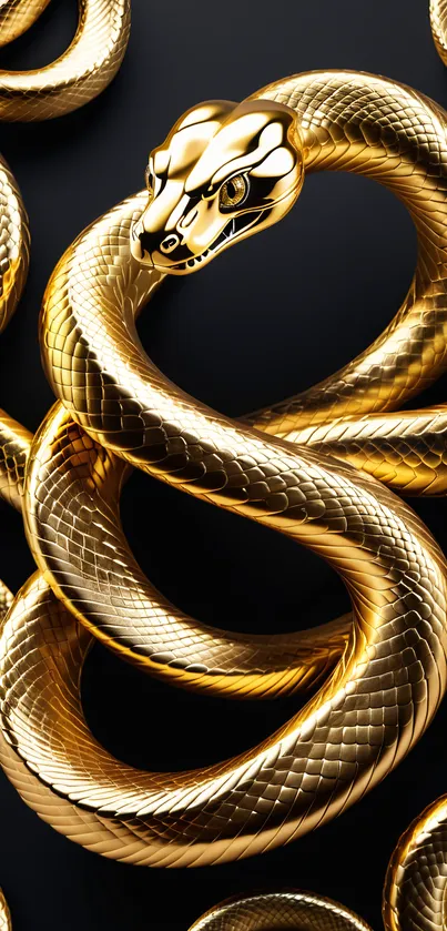 Golden snake wrapped elegantly on a dark background.