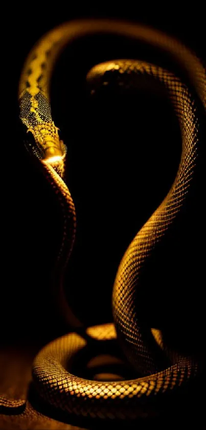 Golden snake silhouette on a dark background, perfect for mobile wallpapers.