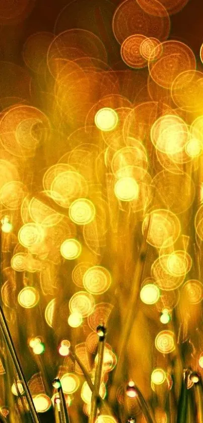 Golden bokeh lights create a vibrant and warm wallpaper design.