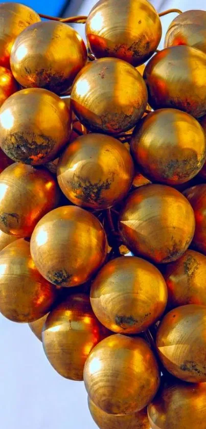 Golden spheres resembling grapes with blue sky backdrop.