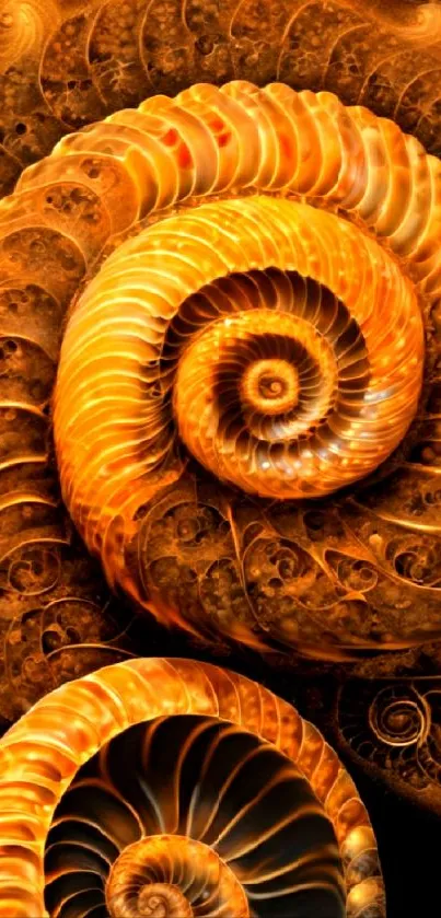 Golden spiral shell wallpaper design.