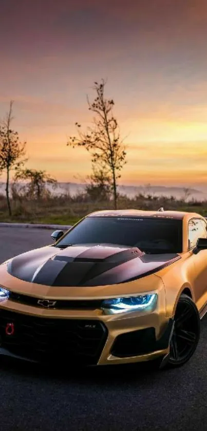 Golden sports car parked on a road at sunset, with trees and a colorful sky.