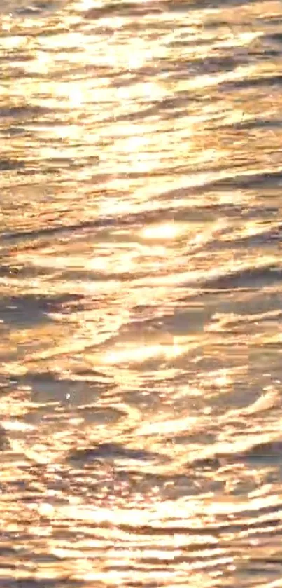 Golden sunlit water texture with shimmering surface on a mobile wallpaper.