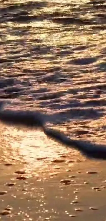 Golden sunset over a tranquil beach with gentle waves.