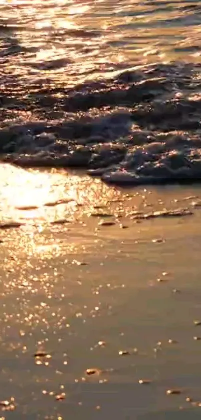 Golden sunset over beach with shimmering waves.