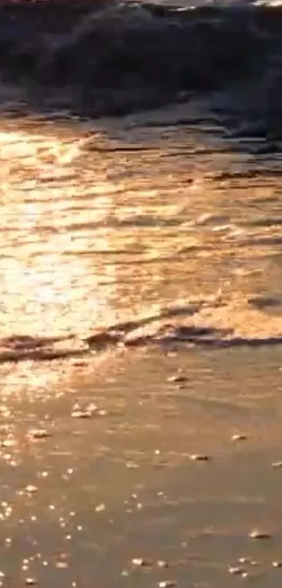 Golden sunset reflecting on ocean waves at the beach.